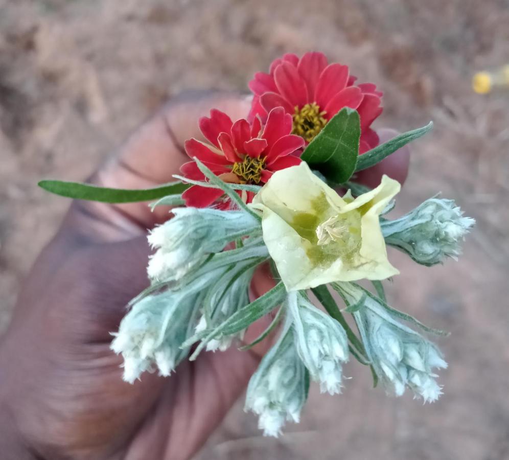 Vasfontein Shalom Place Of Peace מראה חיצוני תמונה